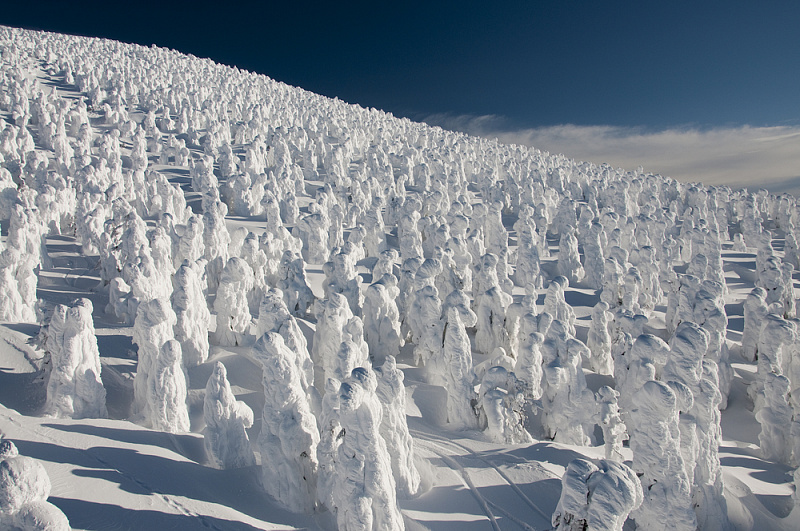 Снежные монстры горы Зао в центральной части Японии авиатур