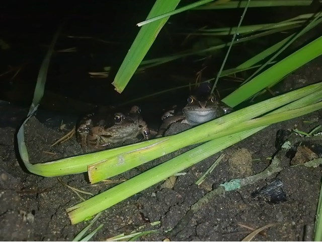 Дачный мир в России глазами одного британца. Внимание! Английский юмор Дачный мир в России глазами одного британца. Внимание! Английский юмор россия