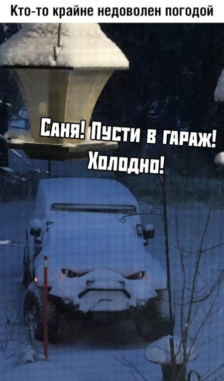 Подборка прикольных картинок Подборка прикольных картинок смешные картинки