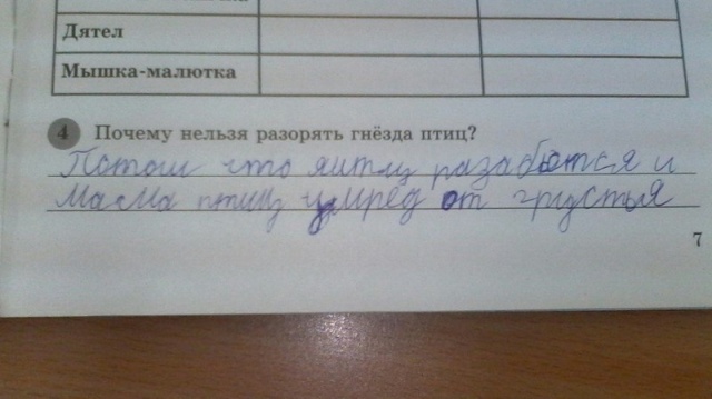 Современная школа - это уже совсем не то, что все мы помним Современная школа - это уже совсем не то, что все мы помним позитив