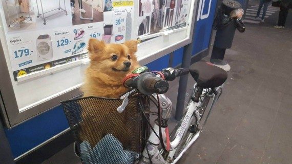 Весёлая подборка 