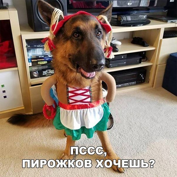 Картинки с надписями  