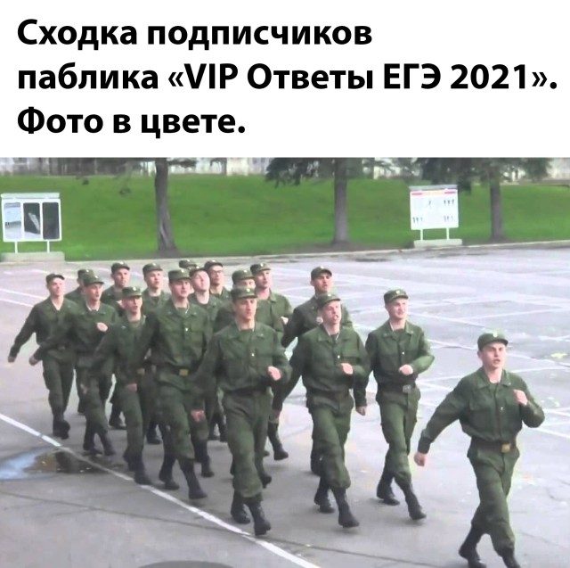 Свежие фотоприколы и смешные картинки 