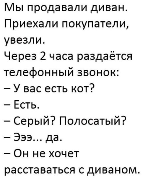 Шутки для тех, кто не любит скучать дома 