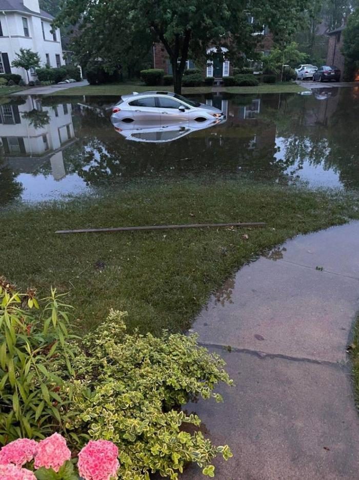 Свежие фотоприколы и смешные картинки 