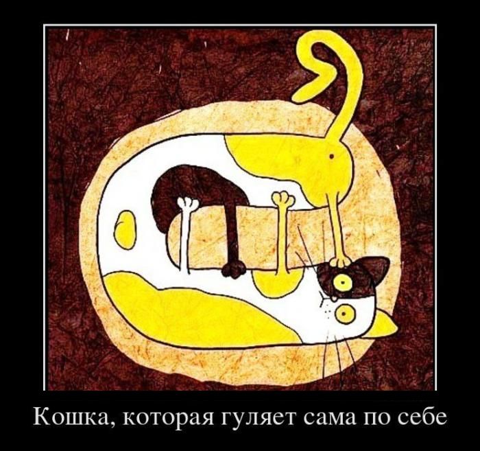 Кошка, которая гуляет сама по себе