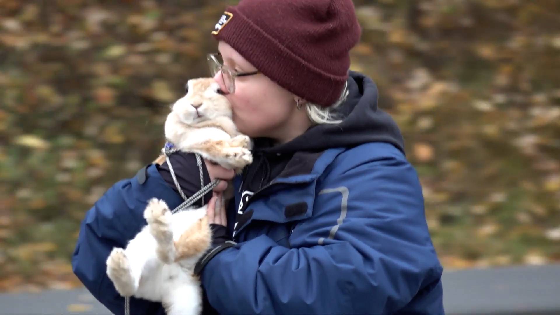 Соревнования по прыжкам среди кроликов проходят в Швеции