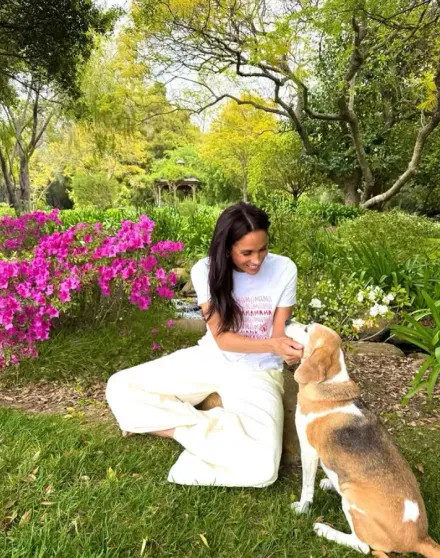 81-летний отец Меган Маркл рассказал о новом романе с девушкой на 35 лет младше него Меган, Маркл, Гарри, Томас, дочерью, отцом, которая, снова, после, жизни, чтобы, общение, отношения, родитель, прессой, принца, любовь, Монтесито, рассказал, герцогини