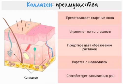 7 способов сделать волосы гуще. 8 способов сделать волосы густыми всего за 1 неделю 06