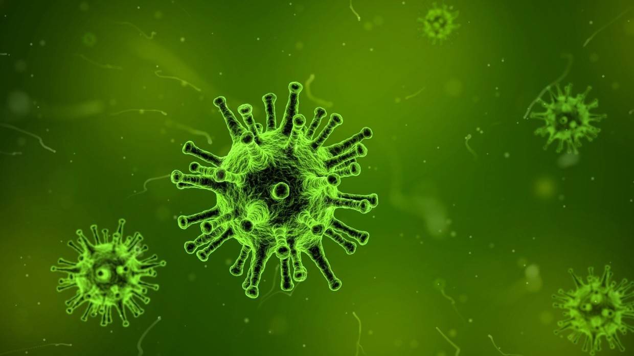 Российские медики выявили 40 096 новых случаев коронавируса за прошедшие сутки