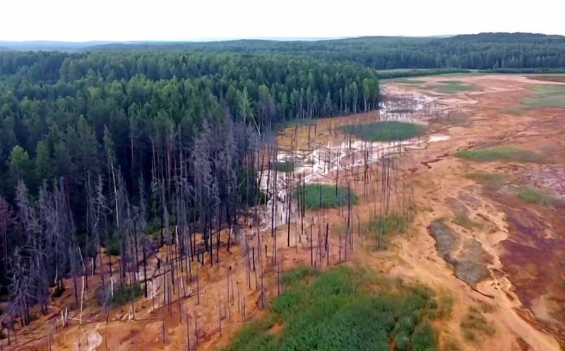 Поднявшаяся из под земли кислота на Урале разъела все на своем пути Общество