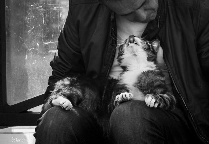 Когда пушистые комочки урчат и радуются