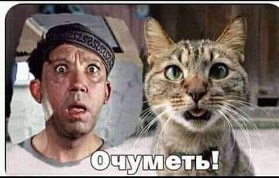 Много свеженького юмора для для чудо-настроения! 