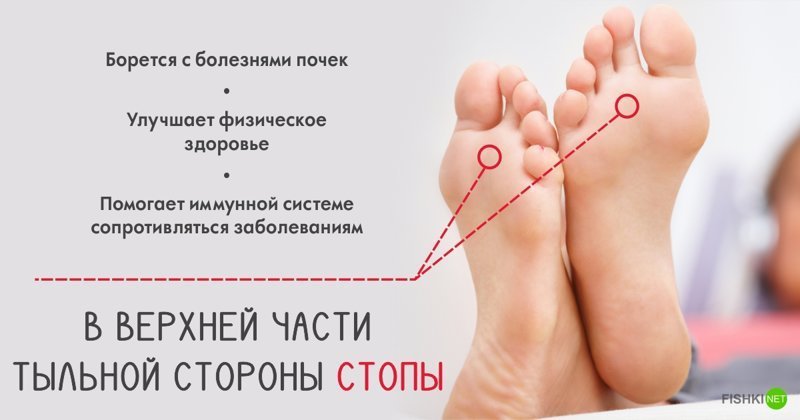 Точки на теле, которые способны активировать организм на все 100% Точки на теле, которые способны активировать организм на все 100% тело