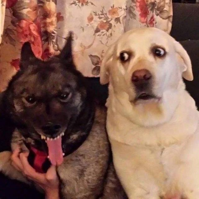 Что-то тут не то... Что-то тут не то...