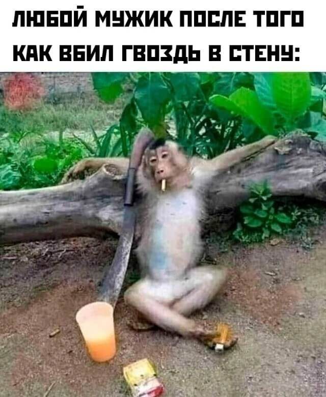 Свежие фотоприколы и смешные картинки 