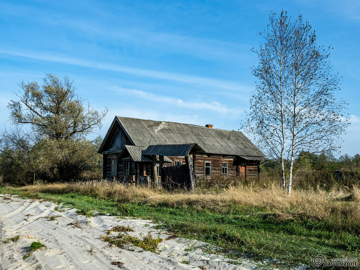 село ело фото