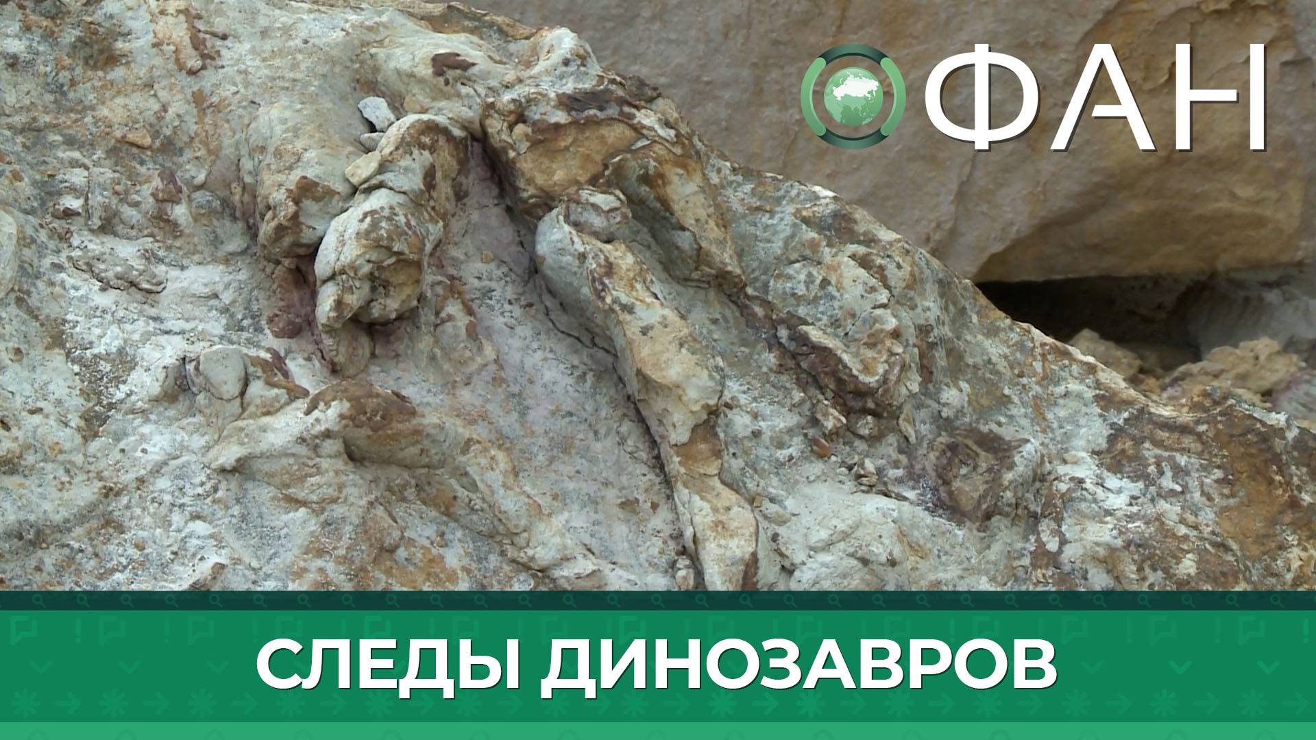 Сотни отпечатков лап динозавров обнаружили польские палеонтологи