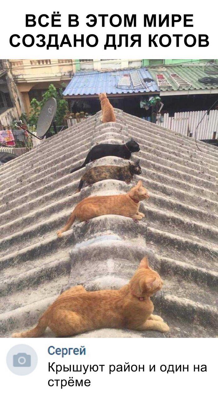 100% ржака, от которой будет болеть живот. Ну что, поспорим? 100% ржака, от которой будет болеть живот. Ну что, поспорим? смешные картинки