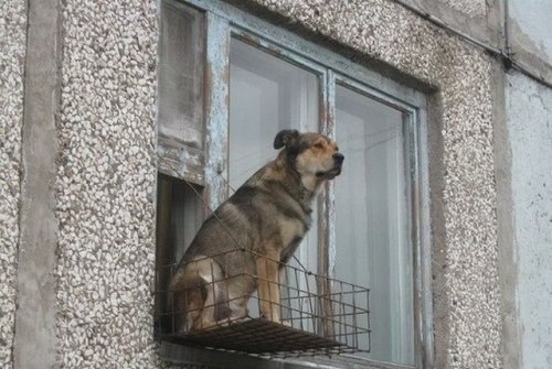 Где-то в России (16 фото)