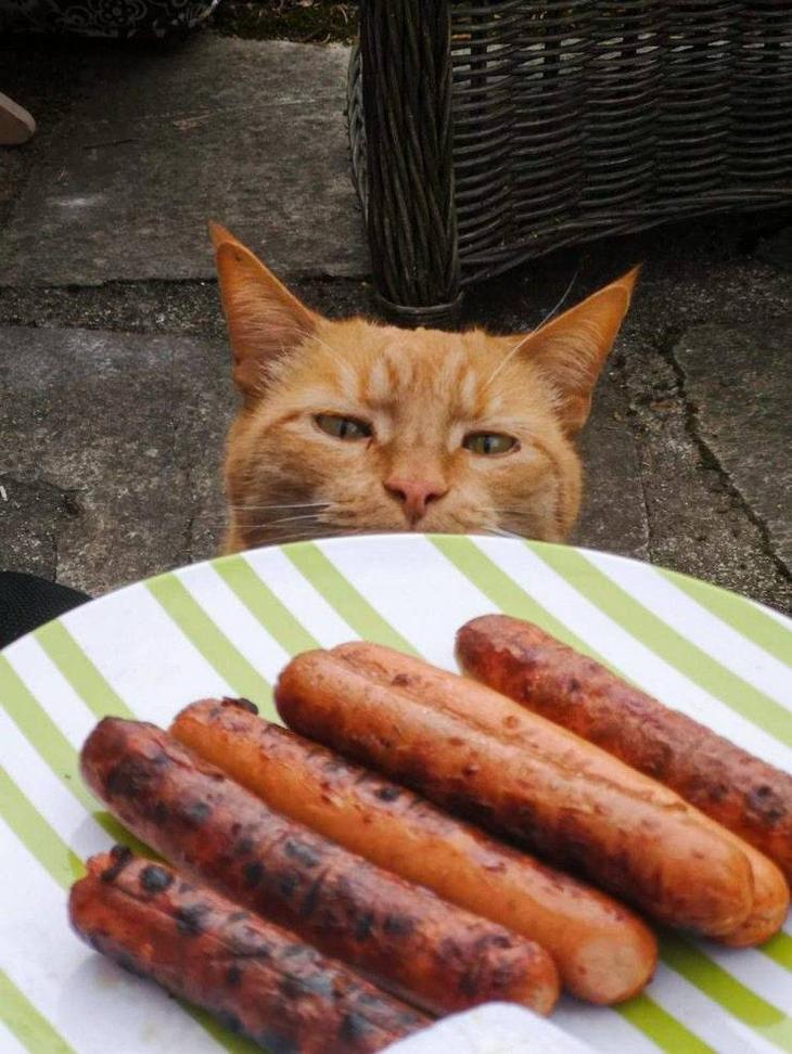 Весело и прикольно Весело и прикольно