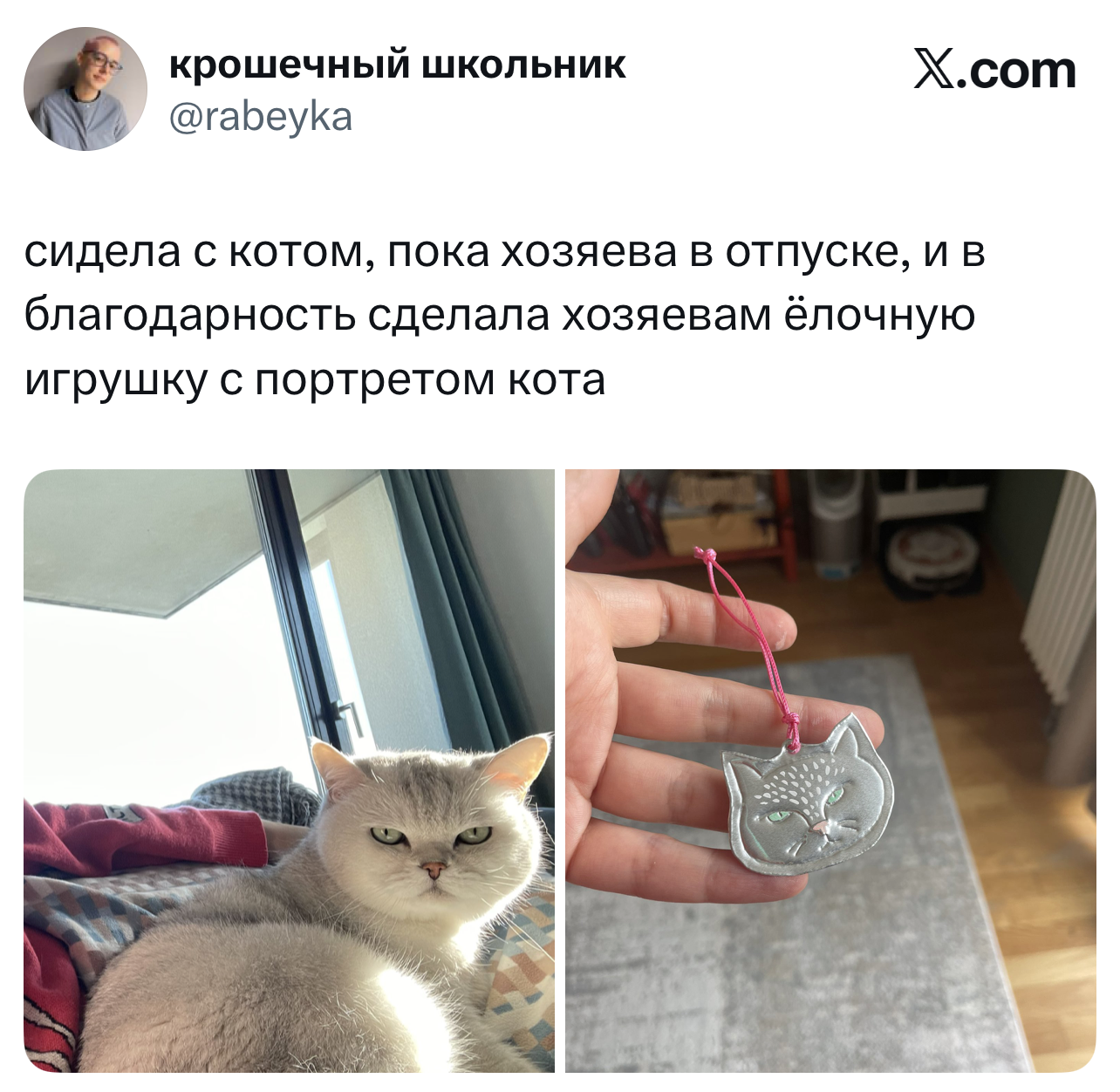 Лучшие шутки дня из X (бывшего Твиттера)