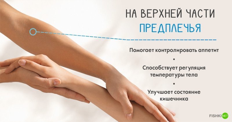 Точки на теле, которые способны активировать организм на все 100% Точки на теле, которые способны активировать организм на все 100% тело