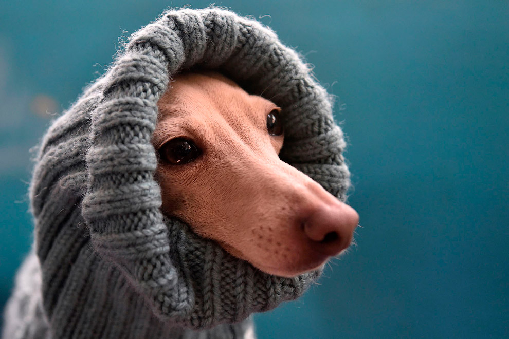 Последние осенние пейзажи 2019 Последние осенние пейзажи 2019 пейзажи,природа,Путешествия,фото