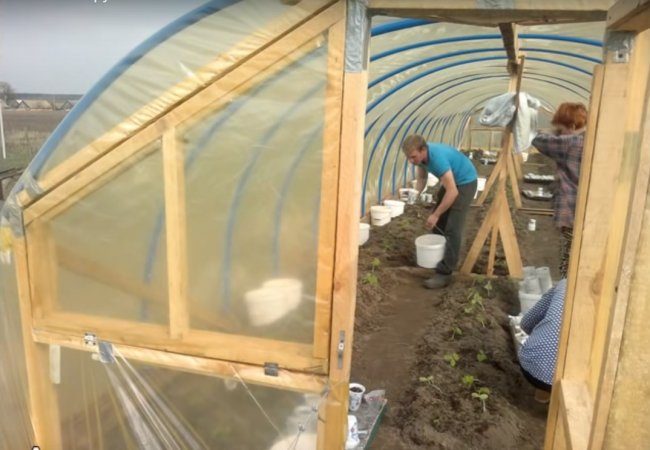 Бюджетная теплица из труб ПВХ бюджетная теплица