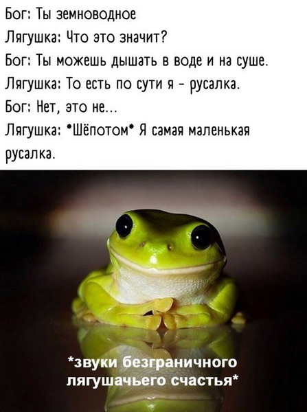 Смешное зверьё 