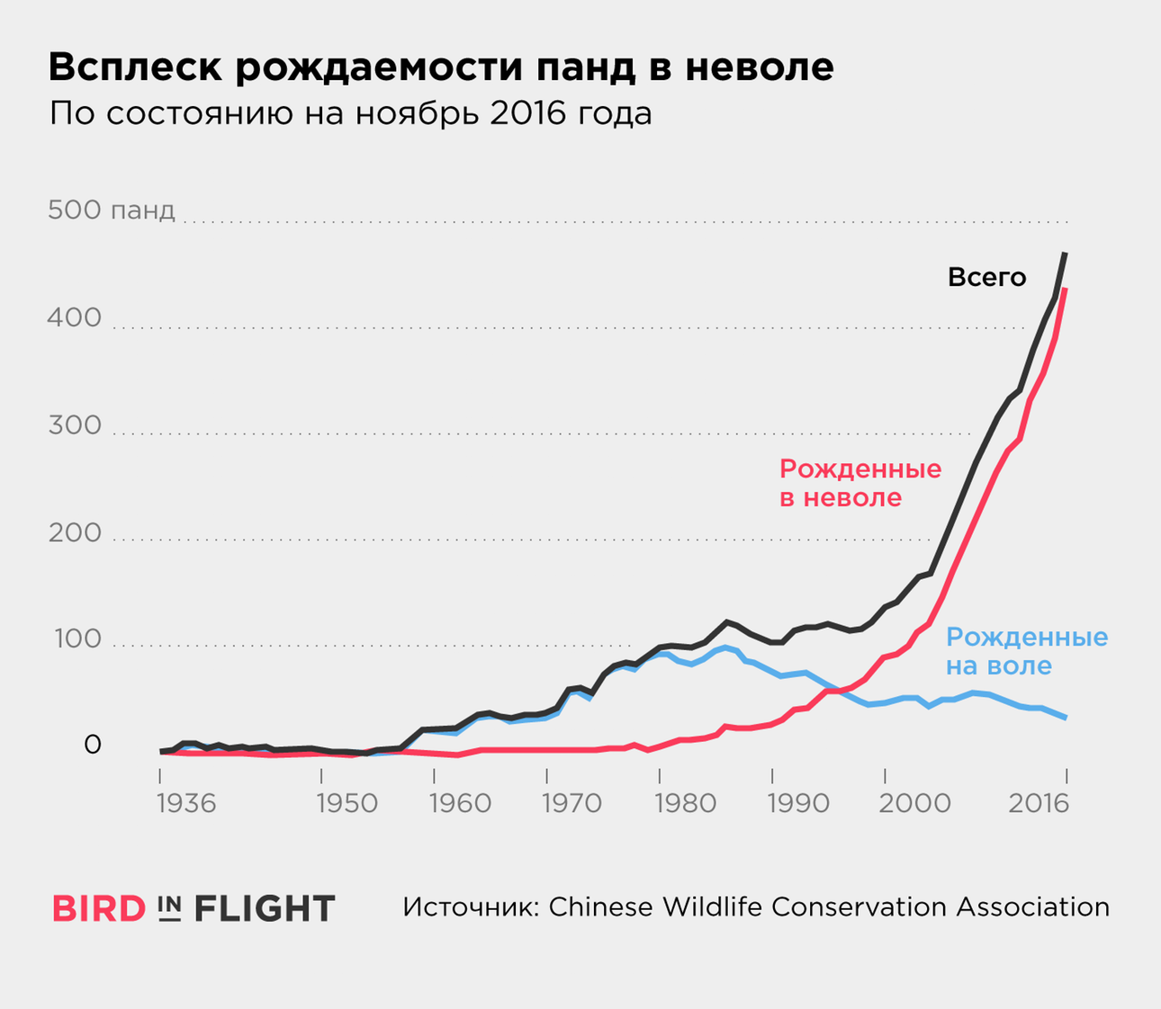 Непростое наследие панды, любившего секс дикая природа,животные,защита животных,охрана природы,природа,секс