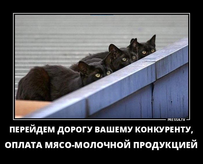 Подборка забавных, смешных и прикольных демотиваторов из нашей жизни Подборка забавных, смешных и прикольных демотиваторов из нашей жизни демотиваторы свежие,смешные демотиваторы