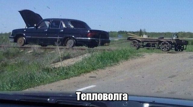 Подборка веселых надписей к картинкам и фото из сети 