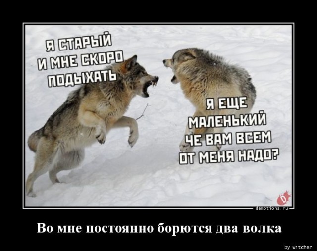Сборник прикольных демотиваторов: «Как вылетает игра на Андроиде…» 