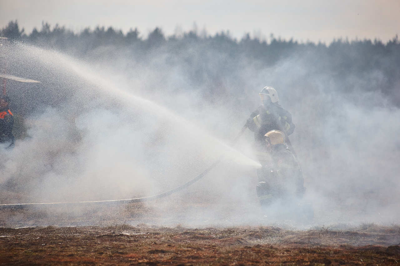 В Тверской области потушили торфяной пожар