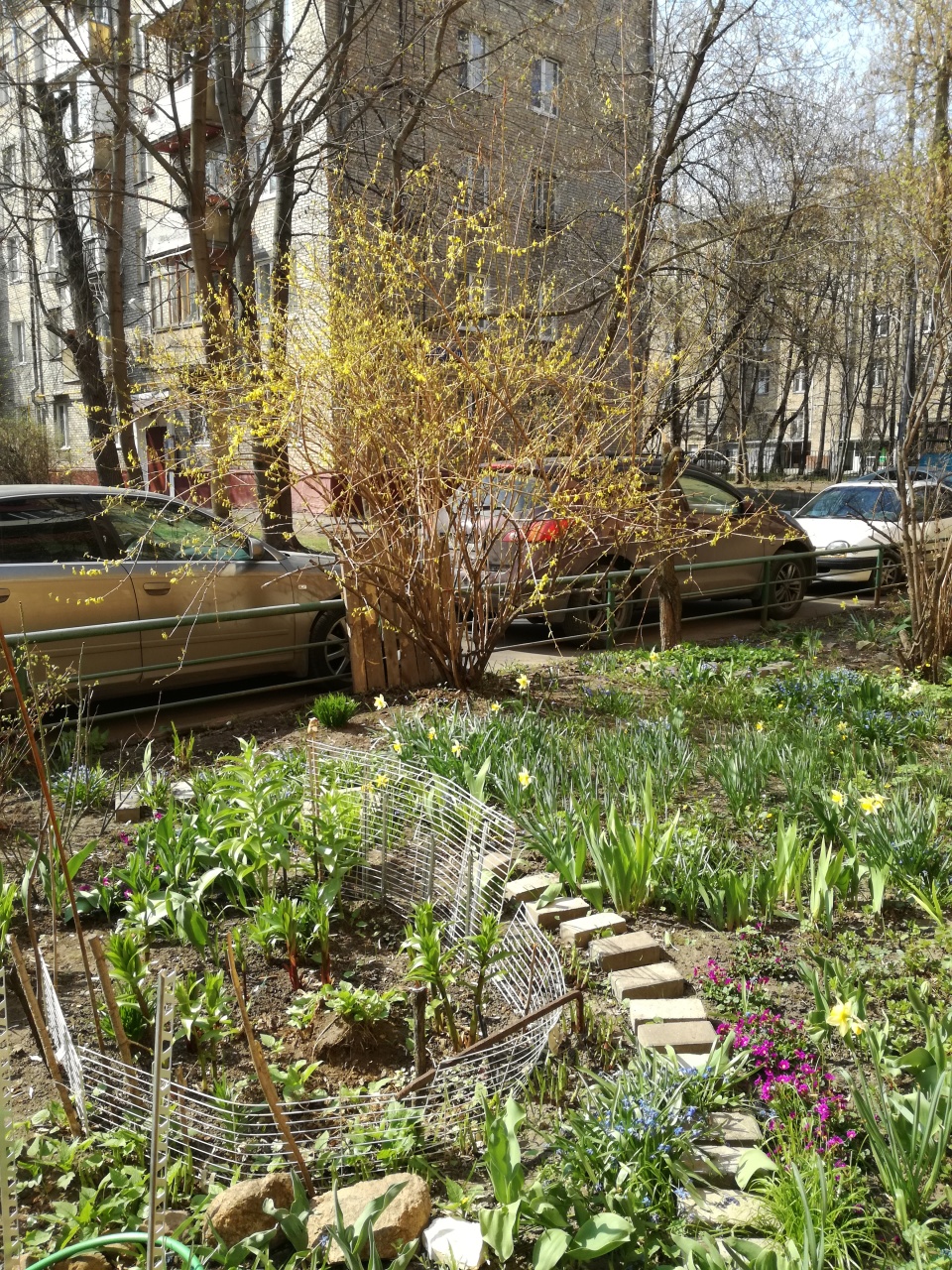 Красота своими руками.