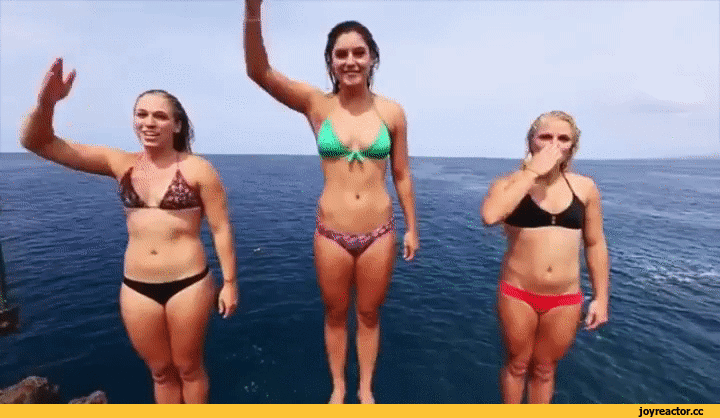 Классные и забавные гифки из сети Классные и забавные гифки из сети гифки, приколы, юмор