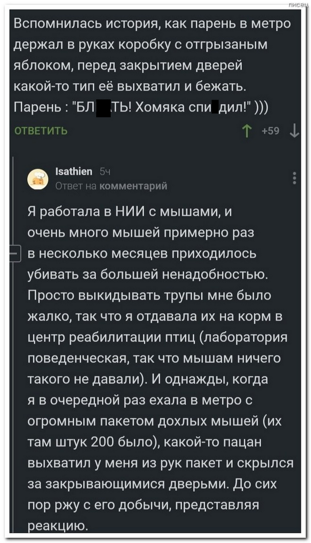 100% приколы из социальных сетей, от которых болит живот. Новые хиты смешные картинки