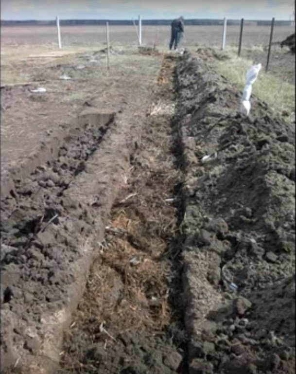 Бюджетная теплица из труб ПВХ бюджетная теплица