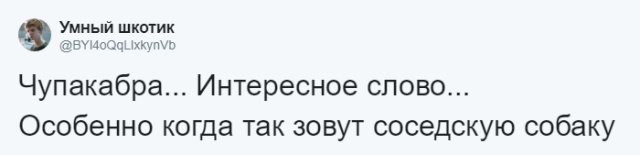 Пользователи соцсетей о необычных кличках домашних питомцев юмор