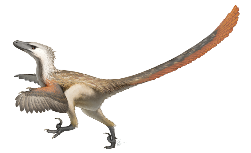 Динозавры - альтернатива приматам, которая впрочем не смогла динозавры, динозавров, назад, млекопитающие, мелкие, когда, млекопитающих, вообще, тогда, стали, птицы, перья, кладку, могли, очень, насиживать, период, просто, мелких, кладки