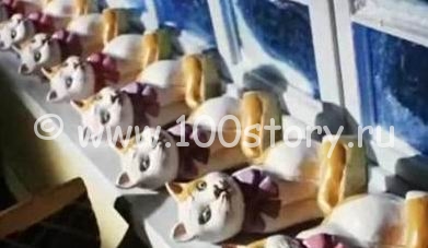 Тренировки на кошках