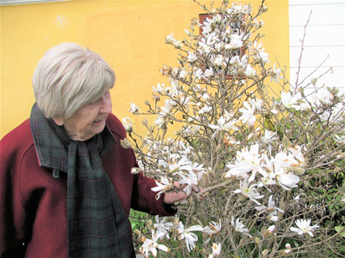 Блог бабушки изобилует фотографиями цветов и кустарников.