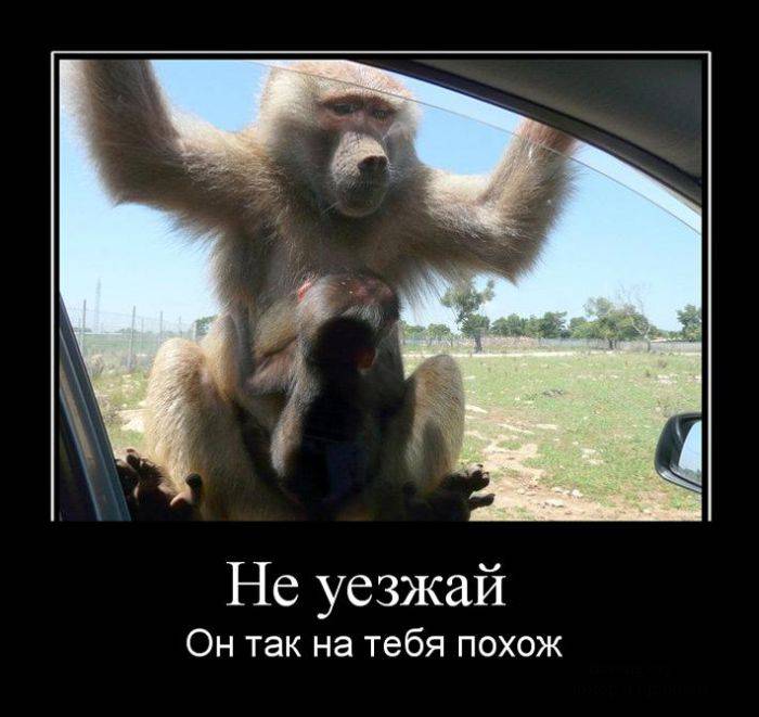 Прикольные вечерние демотиваторы для улыбки и хорошего настроения 