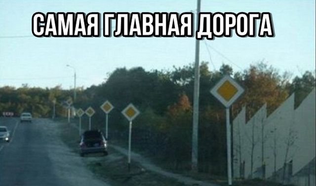 Подборка веселых надписей к картинкам и фото из сети 