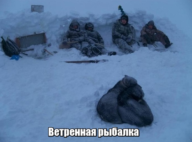 Подборка прикольных картинок 