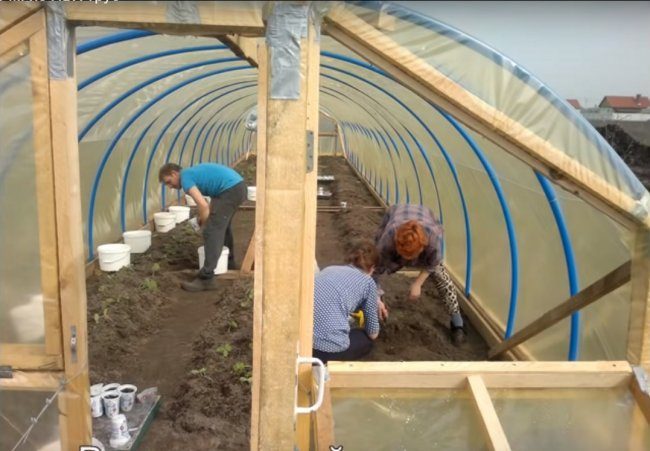 Бюджетная теплица из труб ПВХ бюджетная теплица