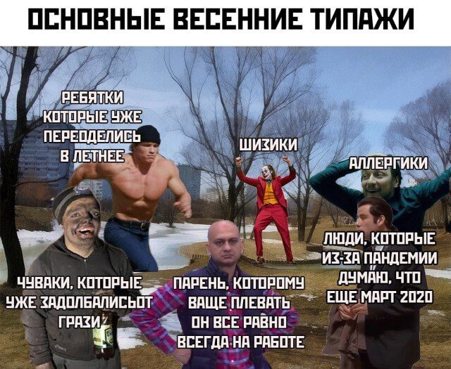 Приколы для расслабона Приколы для расслабона