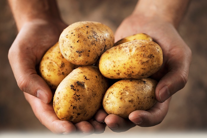 В состав картофеля входит полезное вещество каолин. / Фото: potatosystem.ru