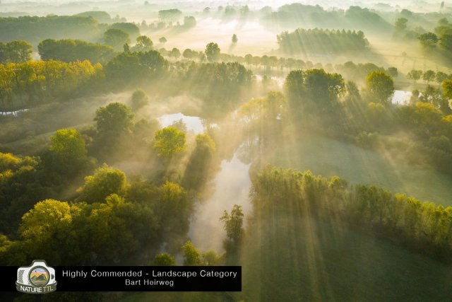 Победители конкурса на лучшую фотографию природы Nature TTL Photographer of the Year 2020